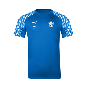 PUMA teamLIGA26 Trikot Blau F02