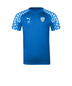 PUMA teamLIGA26 Trikot Blau F02