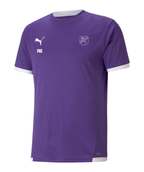 PUMA teamLIGA Trikot Lila F10