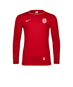 Nike Park 26 Longsleeve Rot F657