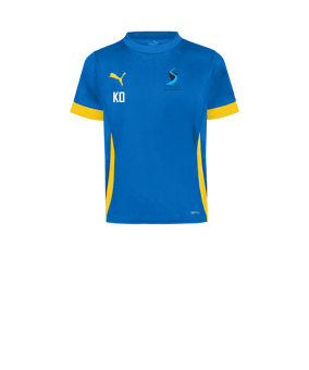 PUMA teamGOAL Matchday Trikot Kids Blau Gelb F16
