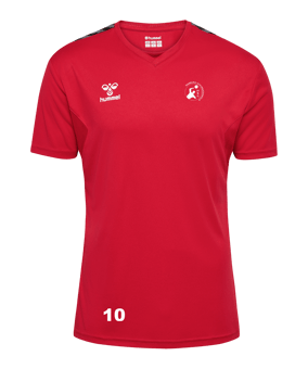 Hummel hmlAUTHENTIC PL Trikot Rot F3062