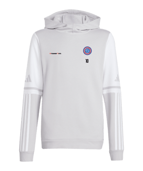 adidas Squadra 25 Hoody Kids Grau