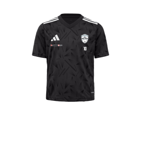 adidas Team Icon 25 Trikot Kids Schwarz