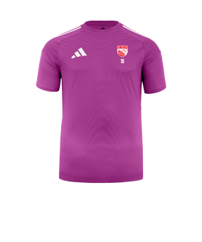 Maillot de gardien adidas Tiro 25 Competition pre 