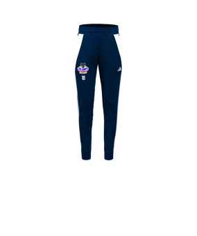 adidas Pantalon d'entraînement Bleu 