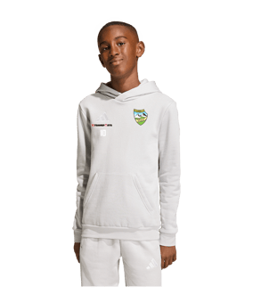 adidas Entrada 26 Hoody Kids Grau