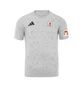 adidas Team Icon 25 Trikot Weiß