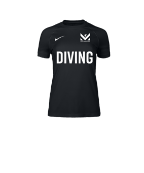 Nike Park VIII Trikot Damen Schwarz F010