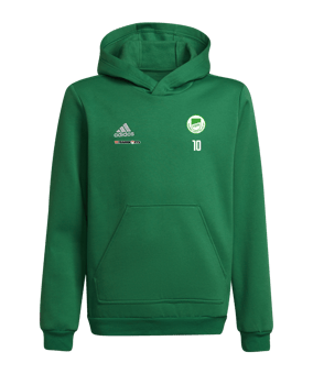 adidas Entrada 22 Hoody Kids Grün