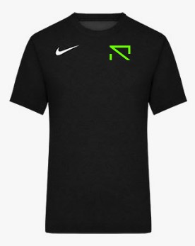Nike Park 20 Dry T-Shirt Schwarz Weiss F010