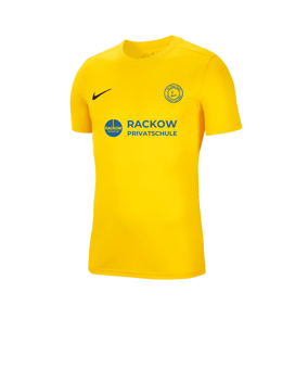 Nike Park VII Trikot kurzarm Gelb F719