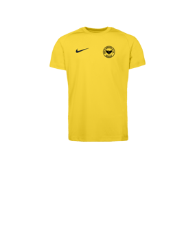 Nike Park VIII Trikot Kids Gelb F719