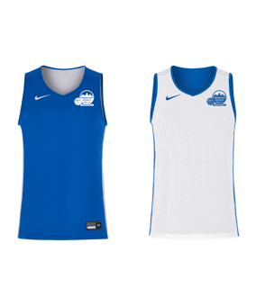 Nike Team25 Stock Reversible Trikot Blau F463