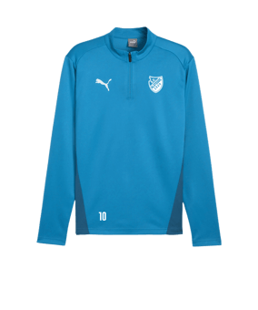 PUMA teamGOAL Training 1/4 Zip Sweatshirt Blau F02