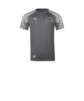 PUMA teamLIGA26 Trikot Kids Grau F13