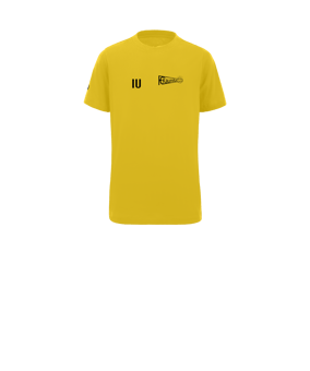 Nike Park 20 T-Shirt Kids Gelb Schwarz F719