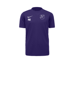 Nike Park VII Trikot kurzarm Kids Lila F547