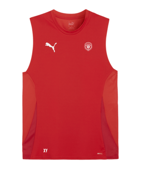 PUMA teamGOAL Tanktop Rot Weiss F01