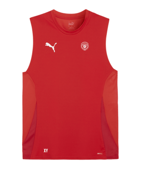 PUMA teamGOAL Tanktop Rot Weiss F01