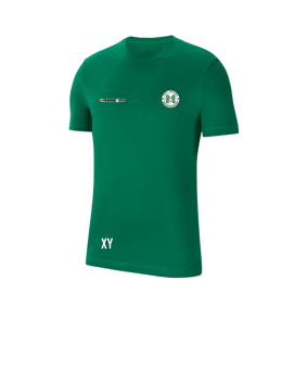 Nike Park 20 T-Shirt Grün Weiss F302