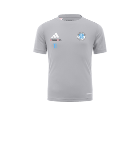 adidas Tabela 23 Trikot Kids Grau Weiss