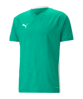 PUMA teamCUP Trikot Grün F05 - gruen