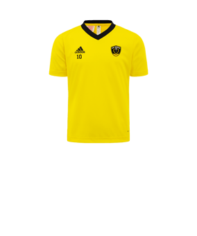 Maillot adidas Entrada 22 enfants jaune noir 