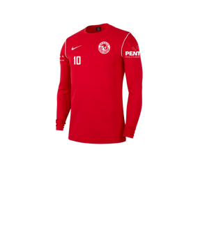 Nike Park 20 Sweatshirt Kids Rot F657