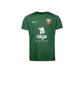 Nike Park VIII Camiseta Kids Verde C302 