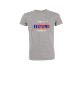 Merch Mini Creator 2.0 T-Shirt Kids Heather Grey  | #established