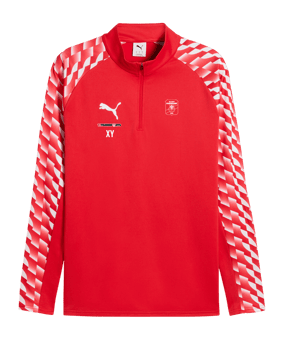 PUMA teamLIGA26 Training 1/4 Zip Top Rot F01