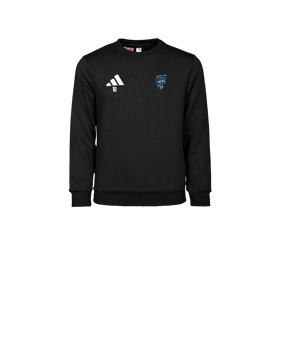 adidas Entrada 26 Sweatshirt Enfants Noir 