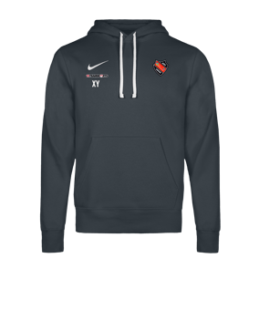 Nike Park 26 Hoody Grau F071