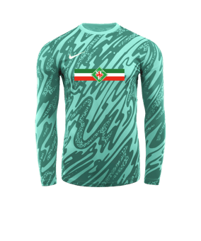 Nike Gardien V Torwarttrikot langarm Türkis F354