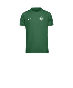 Nike Academy II Trikot Kids Grün F302