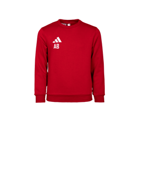 adidas Entrada 26 Sweatshirt Kids Rot