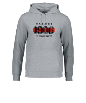 Merch Drummer 2.0 Hoody Heather Grey  | #established