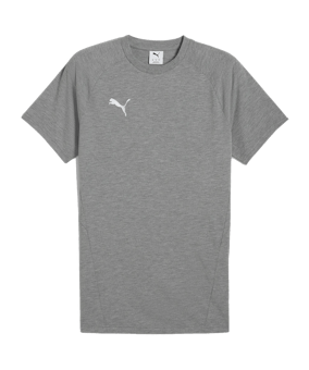 PUMA teamEVOSTRIPE T-Shirt Grau F33 - grau