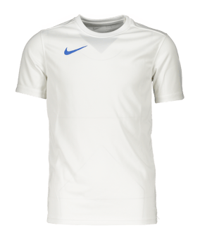 Nike Park VII Trikot Kids Weiss Blau F102 - weiss