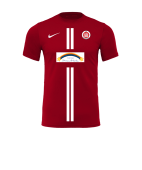 Nike Park VII Trikot kurzarm Rot F657