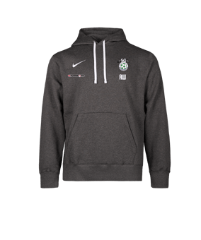 Nike Park 26 Hoody Grau F071