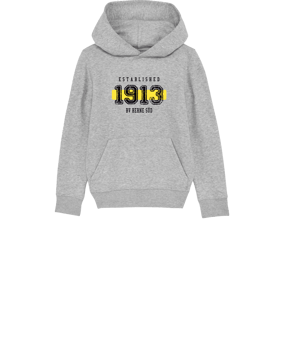 Merch Mini Cruiser 2.0 Hoody Kids H. Grey | #established