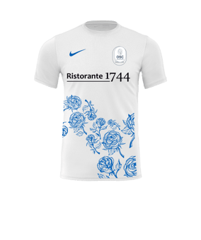 Nike Park VII Trikot Weiss Blau F102