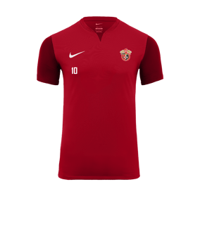Nike Trophy V Trikot Rot F657