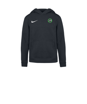 Nike Park 26 Hoody Kids Grau F071