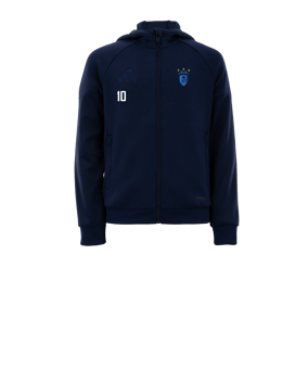 Veste à capuche adidas Tiro 25 enfants bleue