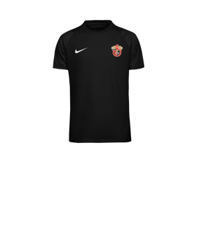 Nike Academy II Trikot Kids Schwarz F010