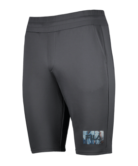 FILA CLEMSON Regular Short Grau F80008 - grau