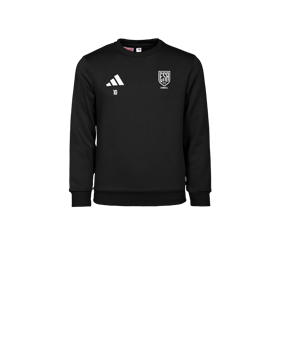 Sweat enfant col rond coton Entrada 26